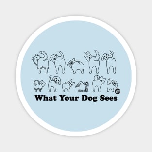 what your dog sees Magnet